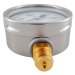 KFM250RB100 (03200109) pressure gauge