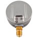 KFM250RB100 (03200109) pressure gauge